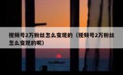 视频号2万粉丝怎么变现的（视频号2万粉丝怎么变现的呢）