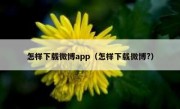 怎样下载微博app（怎样下载微博?）