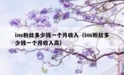 ins粉丝多少钱一个月收入（ins粉丝多少钱一个月收入高）