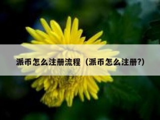 派币怎么注册流程（派币怎么注册?）