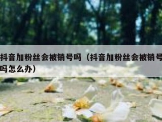 抖音加粉丝会被销号吗（抖音加粉丝会被销号吗怎么办）