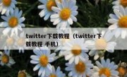 twitter下载教程（twitter下载教程 手机）