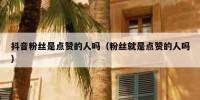 抖音粉丝是点赞的人吗（粉丝就是点赞的人吗）