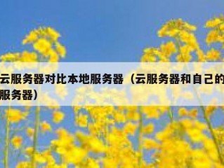 云服务器对比本地服务器（云服务器和自己的服务器）