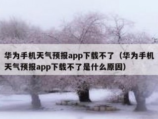 华为手机天气预报app下载不了（华为手机天气预报app下载不了是什么原因）