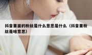 抖音里面的粉丝是什么意思是什么（抖音里粉丝是啥意思）