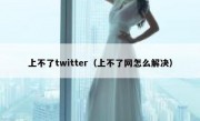上不了twitter（上不了网怎么解决）