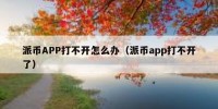 派币APP打不开怎么办（派币app打不开了）