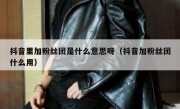 抖音里加粉丝团是什么意思呀（抖音加粉丝团什么用）