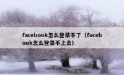 facebook怎么登录不了（facebook怎么登录不上去）