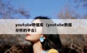 youtube数据库（youtube数据分析的平台）