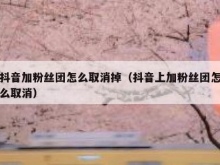 抖音加粉丝团怎么取消掉（抖音上加粉丝团怎么取消）
