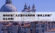推特的推广方式是什么样的呀（推特上的推广怎么收费）