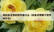 给抖音点赞的软件是什么（抖音点赞那个软件叫什么）