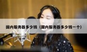 国内服务器多少钱（国内服务器多少钱一个）