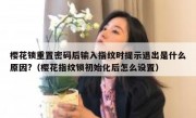 樱花锁重置密码后输入指纹时提示退出是什么原因?（樱花指纹锁初始化后怎么设置）