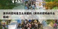 派币的密码是怎么设置的（派币的密码由什么组成）