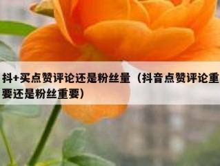抖+买点赞评论还是粉丝量（抖音点赞评论重要还是粉丝重要）