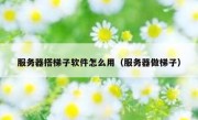 服务器搭梯子软件怎么用（服务器做梯子）