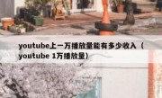 youtube上一万播放量能有多少收入（youtube 1万播放量）
