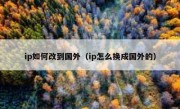 ip如何改到国外（ip怎么换成国外的）