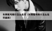 车牌尾号限行怎么处罚（车牌尾号限行怎么处罚最新）