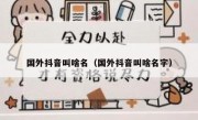 国外抖音叫啥名（国外抖音叫啥名字）