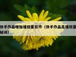 快手作品增加播放量软件（快手作品高播放量秘诀）