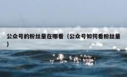公众号的粉丝量在哪看（公众号如何看粉丝量）