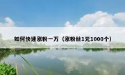 如何快速涨粉一万（涨粉丝1元1000个）