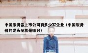 中国服务器上市公司有多少家企业（中国服务器的龙头股票是哪只）