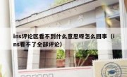 ins评论区看不到什么意思呀怎么回事（ins看不了全部评论）