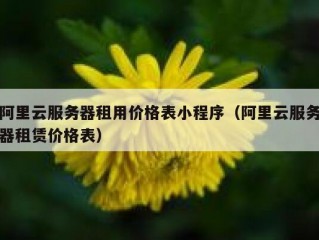 阿里云服务器租用价格表小程序（阿里云服务器租赁价格表）