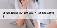 派币怎么知道自己实名认证了（派币实名教程）