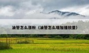 油管怎么涨粉（油管怎么增加播放量）