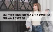 派币注册流程视频操作方法是什么意思啊（派币真的办卡了吗现在）