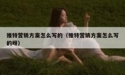 推特营销方案怎么写的（推特营销方案怎么写的呀）