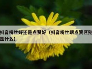 抖音粉丝好还是点赞好（抖音粉丝跟点赞区别是什么）