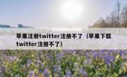 苹果注册twitter注册不了（苹果下载twitter注册不了）