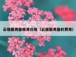 云端服务器租用价格（云端服务器的费用）