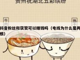 抖音粉丝和获赞可以赚钱吗（电线为什么是两根）