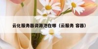 云化服务器资源池在哪（云服务 容器）