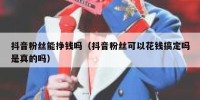 抖音粉丝能挣钱吗（抖音粉丝可以花钱搞定吗是真的吗）