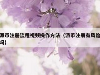 派币注册流程视频操作方法（派币注册有风险吗）