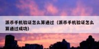 派币手机验证怎么算通过（派币手机验证怎么算通过成功）