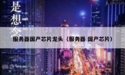 服务器国产芯片龙头（服务器 国产芯片）