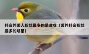 抖音外国人粉丝最多的是谁呀（国外抖音粉丝最多的明星）