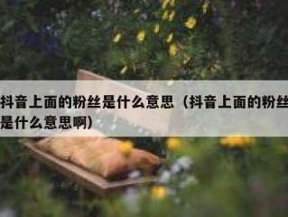 抖音上面的粉丝是什么意思（抖音上面的粉丝是什么意思啊）