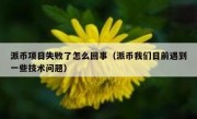 派币项目失败了怎么回事（派币我们目前遇到一些技术问题）