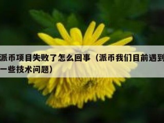 派币项目失败了怎么回事（派币我们目前遇到一些技术问题）